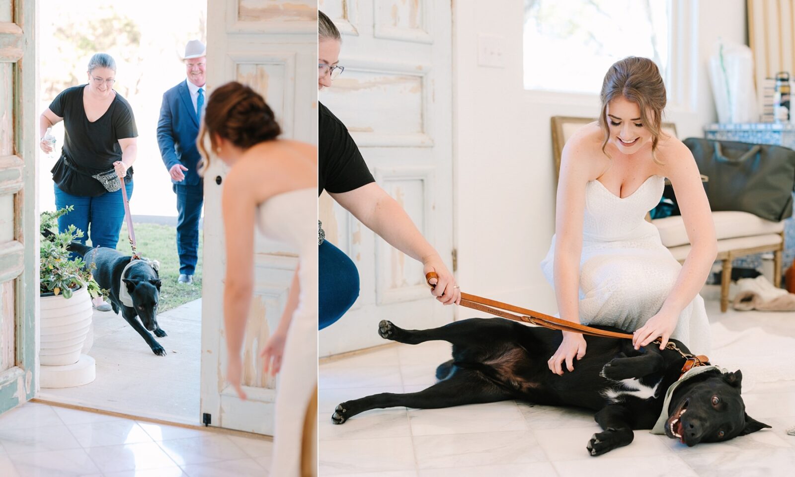 first look with dog at wedding, wedding dog first look, dog ring bearer at wedding, wedding dog flower girl, the pet gal, wedding at the videre estate venue, wimberley, photos by Tara Lyons Photography, Perry's Petal, planning by sweet magnolia events