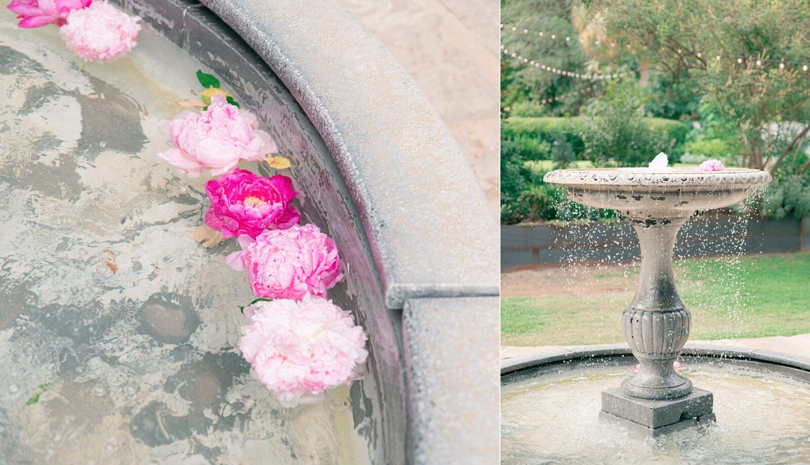 pink flowers in fountain at austin garden wedding venue, hummingbird house